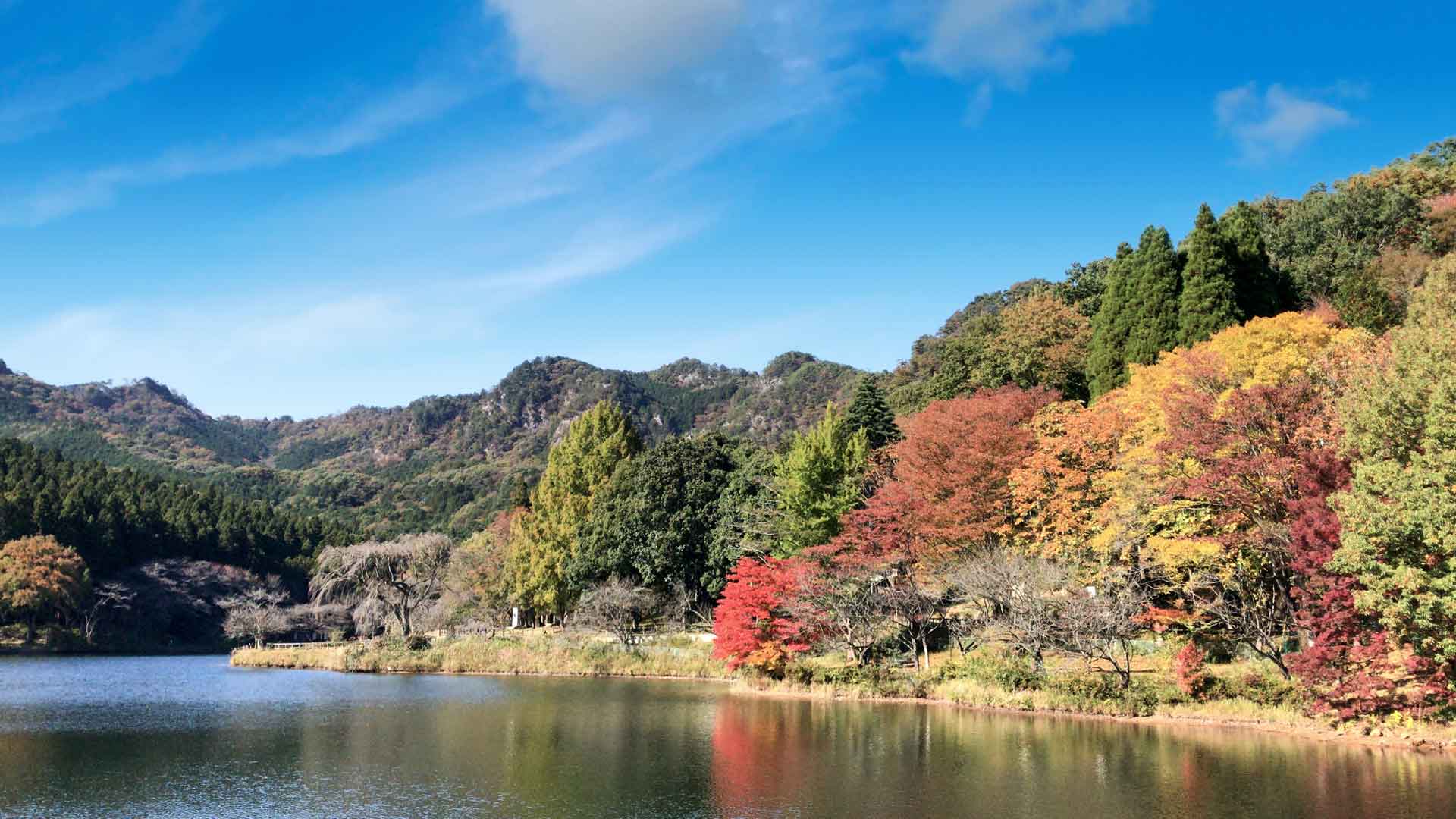 自然風景